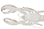 Déco Murale langouste