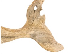 Baleine en bois
