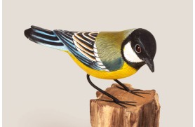 Mésange charbonnière