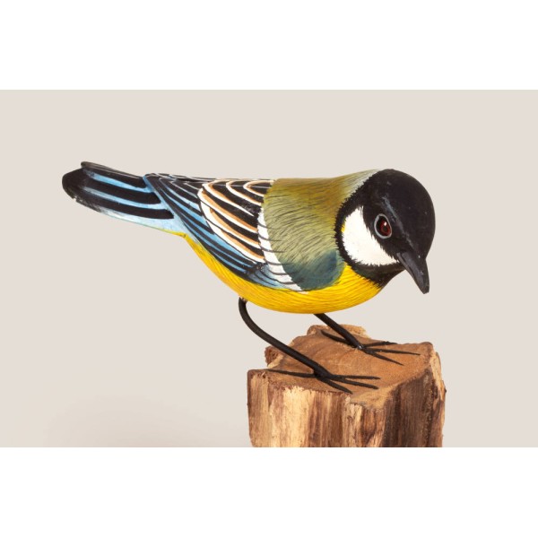 Mésange charbonnière