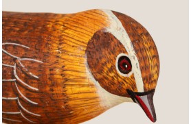 Roitelet