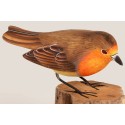 Rouge-gorge oiseau