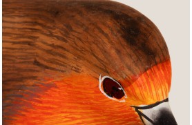 Rouge-gorge oiseau