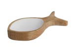 Petits poisson COCOA