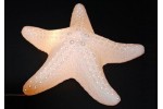 LAMPE "ETOILE DE MER"