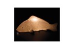 LAMPE "Poisson"